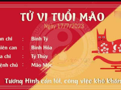 Ảnh bìa bài viết 888657