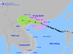 Ảnh bìa bài viết 888841