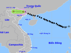 Ảnh bìa bài viết 889023