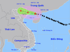 Ảnh bìa bài viết 888861