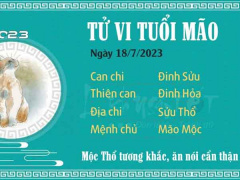 Ảnh bìa bài viết 888853
