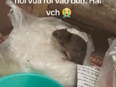 Ảnh bìa bài viết 889474