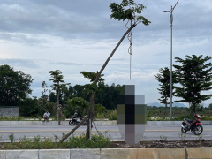 Ảnh bìa bài viết 889504