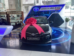 Ảnh bìa bài viết 889752