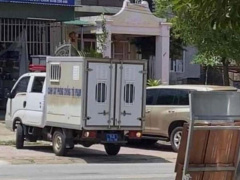 Ảnh bìa bài viết 890077