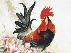 Ảnh bìa bài viết 890621