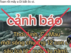 Ảnh bìa bài viết 891415