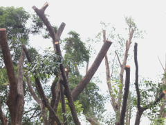 Ảnh bìa bài viết 891272