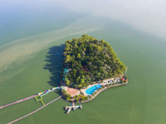 Ảnh bìa bài viết 891301