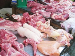Ảnh bìa bài viết 891448