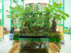 Ảnh bìa bài viết 891558