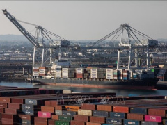 Ảnh bìa bài viết 891624