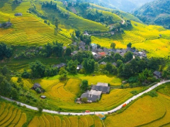 Ảnh bìa bài viết 891626