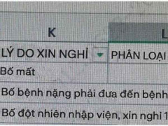 Ảnh bìa bài viết 892084