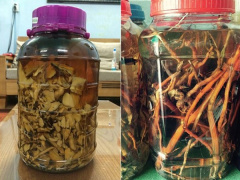 Ảnh bìa bài viết 892319
