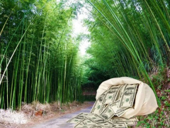 Ảnh bìa bài viết 892479