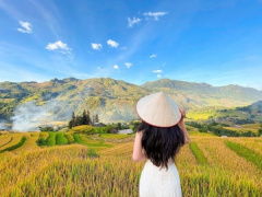 Ảnh bìa bài viết 892568