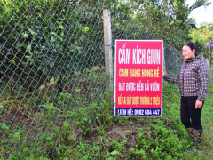 Ảnh bìa bài viết 892642