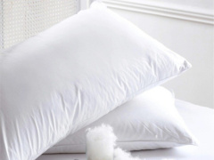 Ảnh bìa bài viết 892649