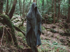 Ảnh bìa bài viết 892506