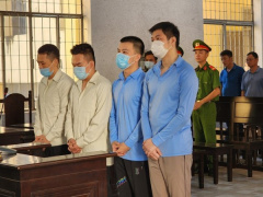 Ảnh bìa bài viết 892732