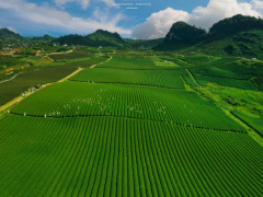 Ảnh bìa bài viết 892863