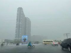 Ảnh bìa bài viết 892940