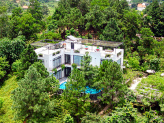 Ảnh bìa bài viết 892921