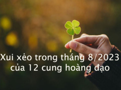 Ảnh bìa bài viết 892933