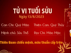 Ảnh bìa bài viết 893111