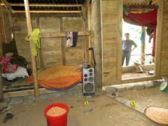 Ảnh bìa bài viết 893380