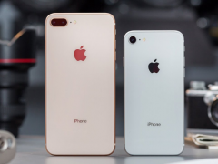 Ảnh bìa bài viết 893474