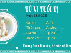 Ảnh bìa bài viết 893393