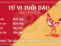 Ảnh bìa bài viết 893565