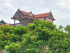 Ảnh bìa bài viết 893781