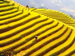 Ảnh bìa bài viết 893800