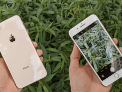 Ảnh bìa bài viết 894271