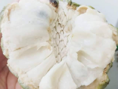 Ảnh bìa bài viết 894338