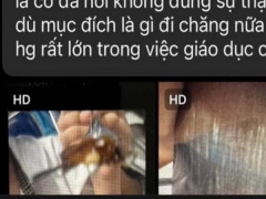 Ảnh bìa bài viết 894521
