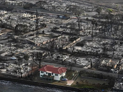 Ảnh bìa bài viết 894528