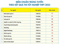 Ảnh bìa bài viết 894620