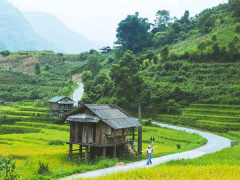 Ảnh bìa bài viết 894898