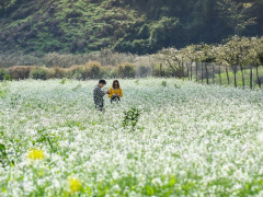 Ảnh bìa bài viết 895123
