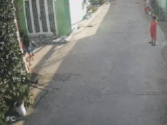 Ảnh bìa bài viết 895134