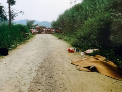 Ảnh bìa bài viết 895059