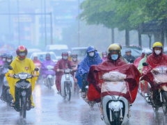 Ảnh bìa bài viết 895208