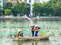 Ảnh bìa bài viết 895322
