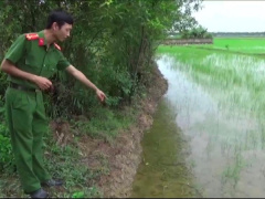 Ảnh bìa bài viết 895483