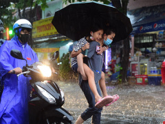 Ảnh bìa bài viết 895640