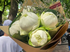 Ảnh bìa bài viết 895843